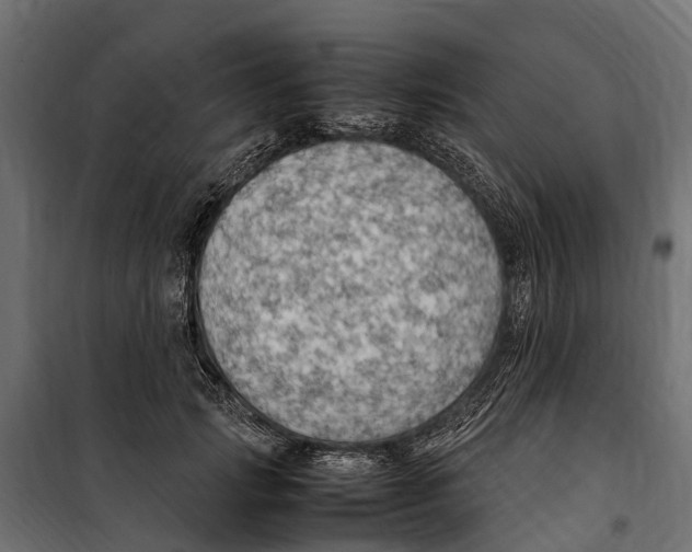 X0000099980749200806201425