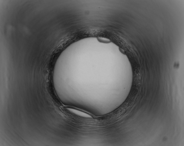 X0000099980750200806201425