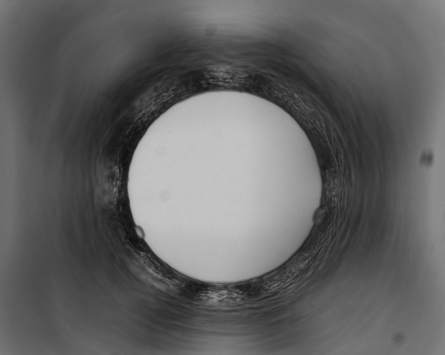 X0000099980752200806201425