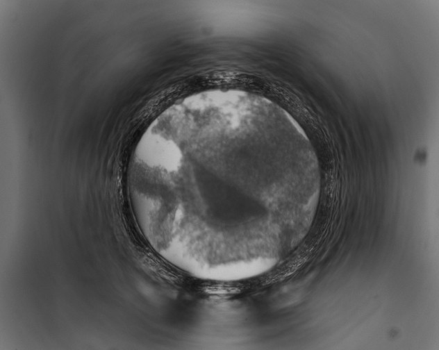 X0000099980754200806201425