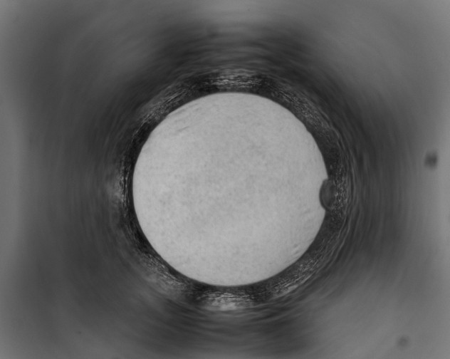 X0000099980755200806201425