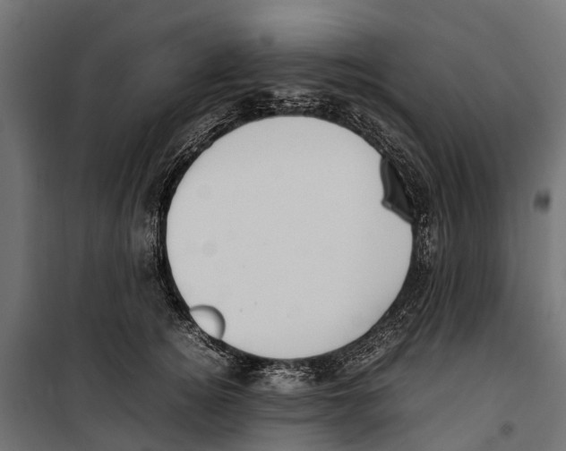 X0000099980756200806201425