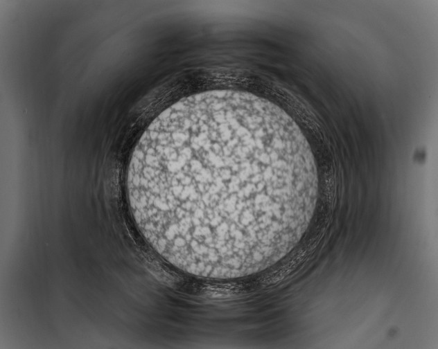 X0000099980757200806201425