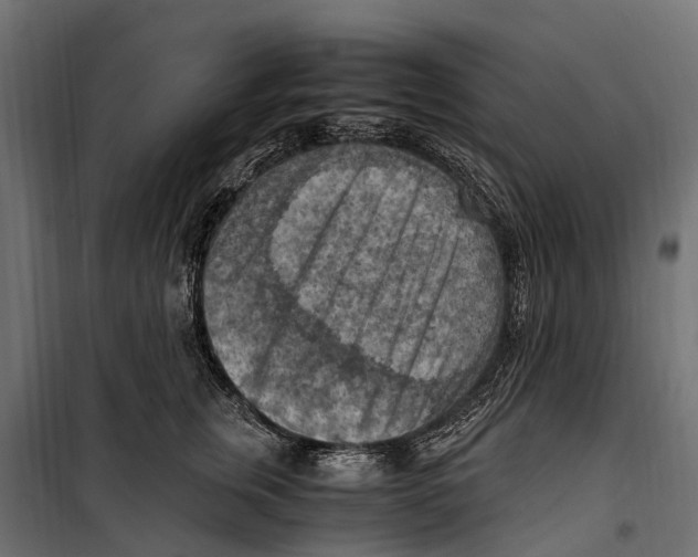 X0000099980759200806201425