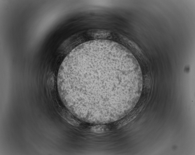 X0000099980761200806201425