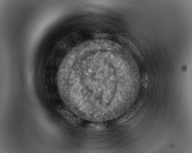 X0000099980763200806201425