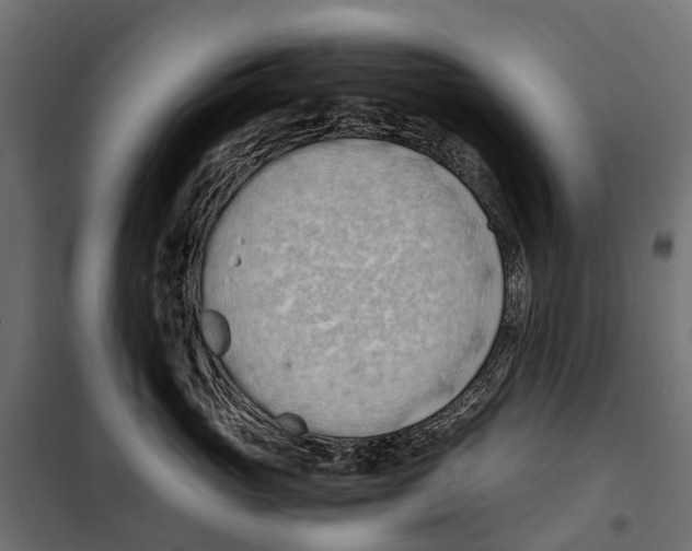 X0000099980765200806201425