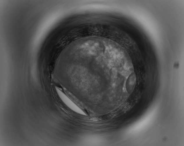 X0000099980766200806201425