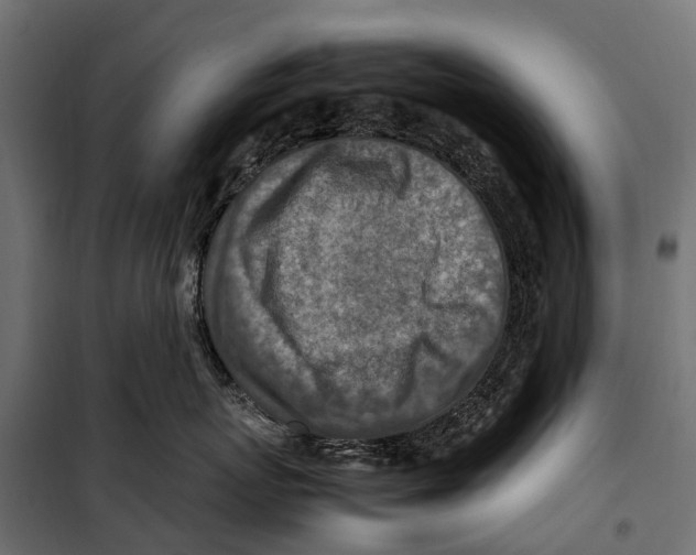 X0000099980767200806201425