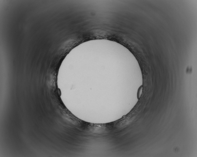 X0000099980768200806201425