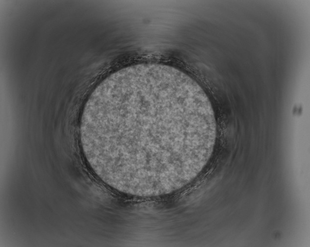 X0000099980769200806201425