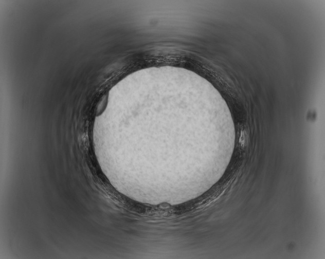 X0000099980771200806201425