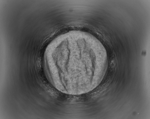 X0000099980772200806201425