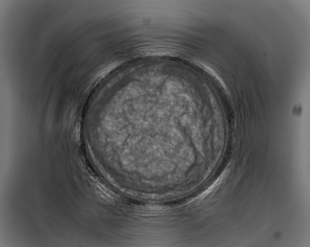 X0000099980777200806201425