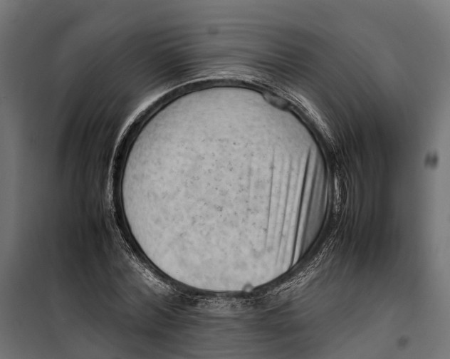 X0000099980780200806201425