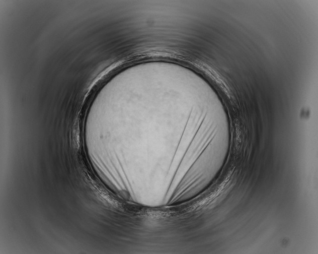 X0000099980782200806201425