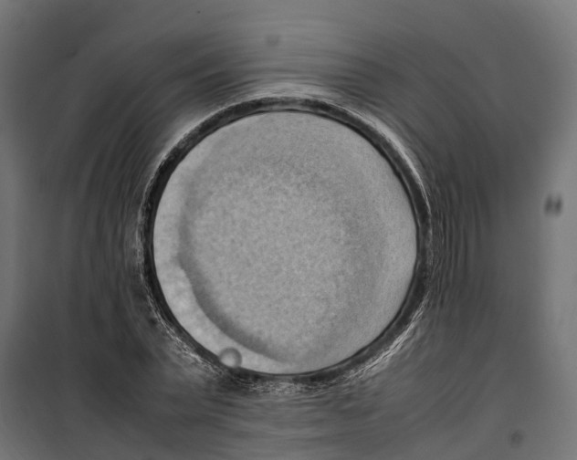 X0000099980783200806201425