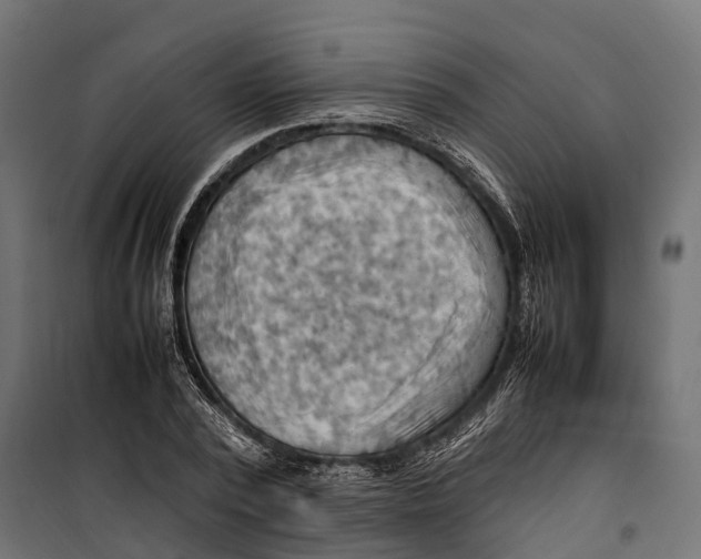 X0000099980784200806201425