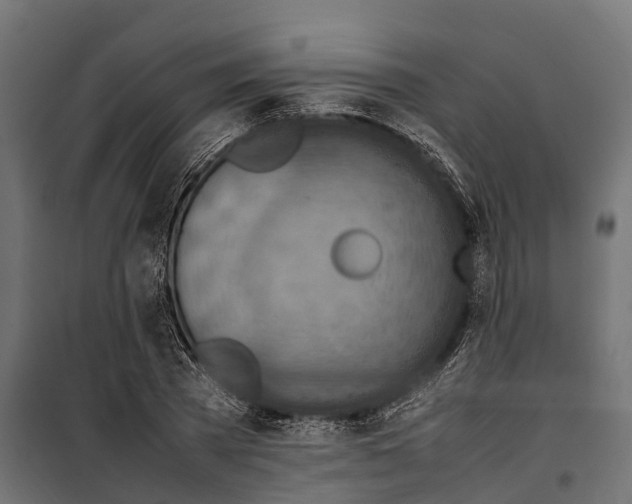 X0000099980785200806201425