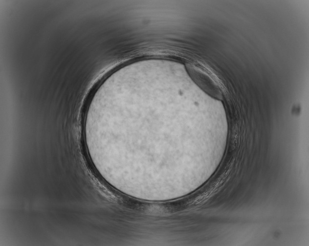 X0000099980787200806201425