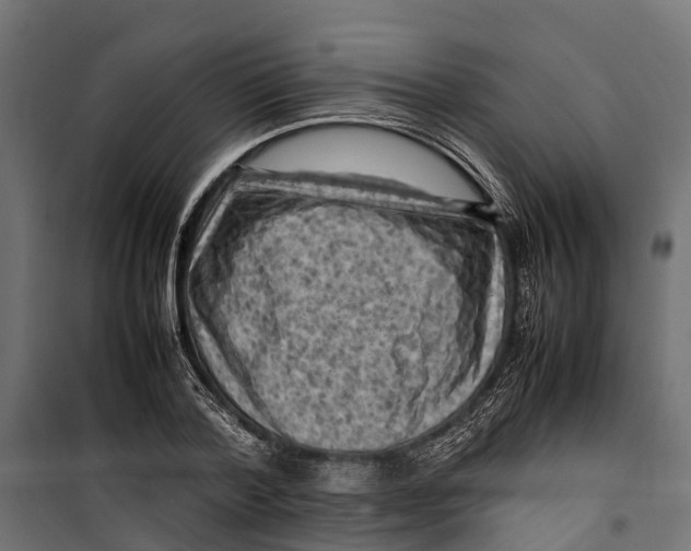 X0000099980788200806201424