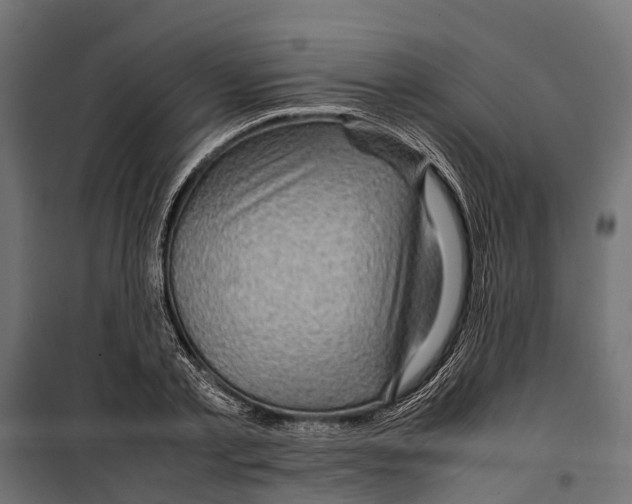 X0000099980789200806201424