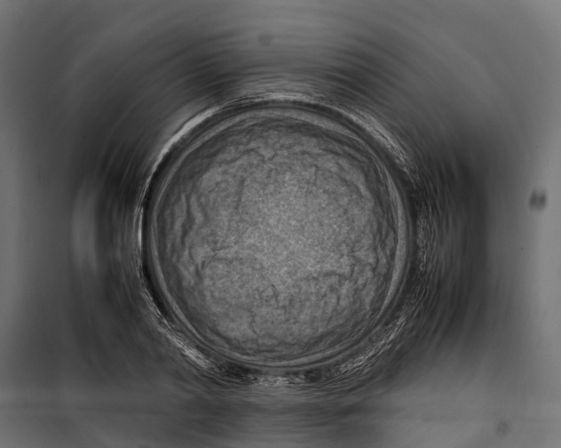 X0000099980790200806201424