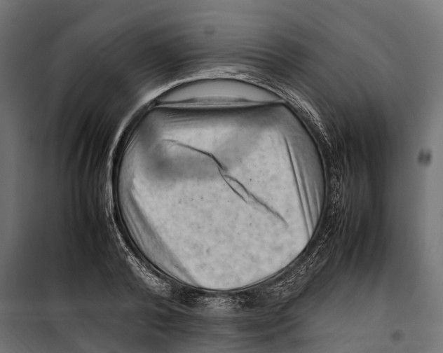 X0000099980792200806201424