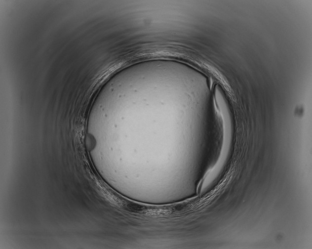 X0000099980793200806201424