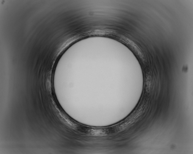 X0000099980794200806201424