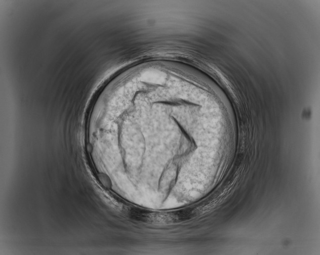 X0000099980795200806201424