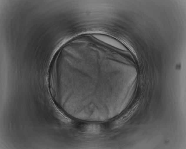 X0000099980797200806201424