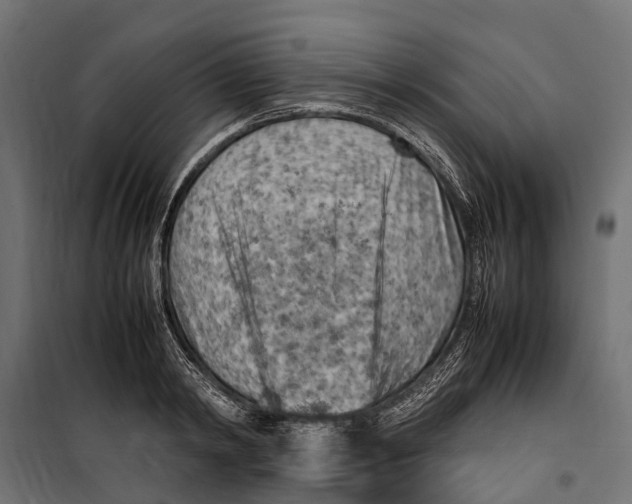 X0000099980798200806201424