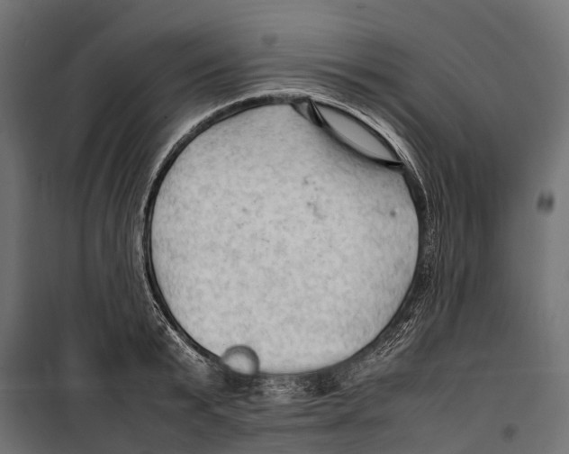 X0000099980799200806201424