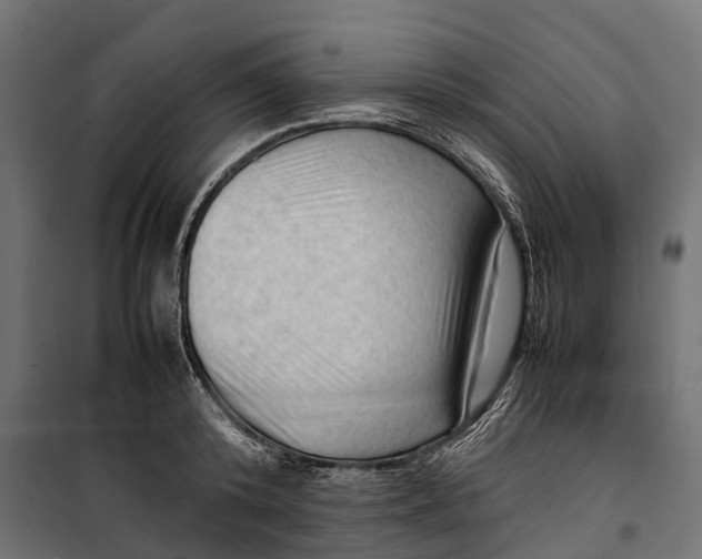 X0000099980800200806201424