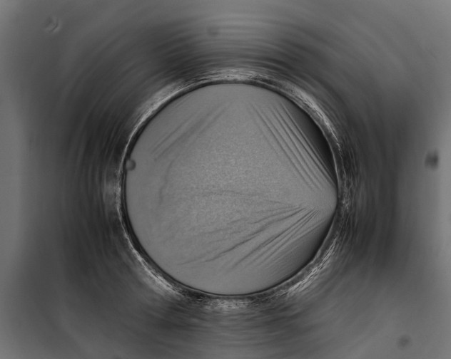 X0000099980802200806201424