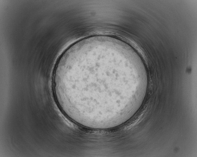 X0000099980803200806201424