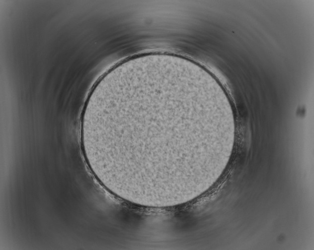 X0000099980807200806201424