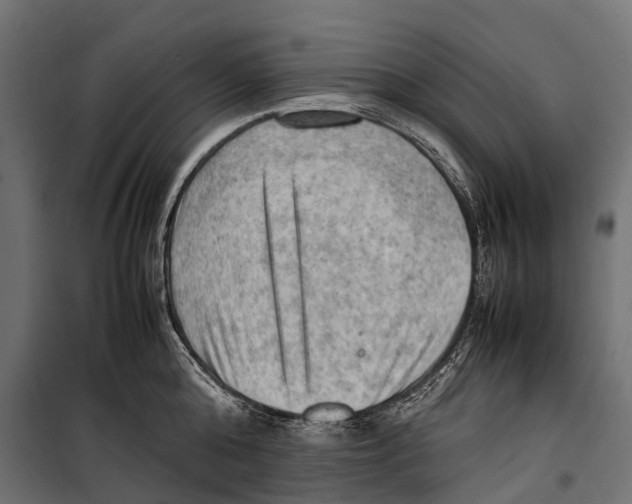 X0000099980808200806201424