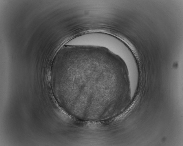 X0000099980809200806201424