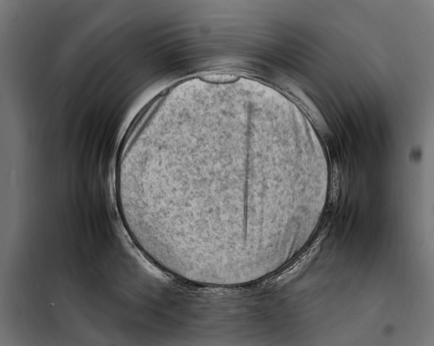 X0000099980812200806201424