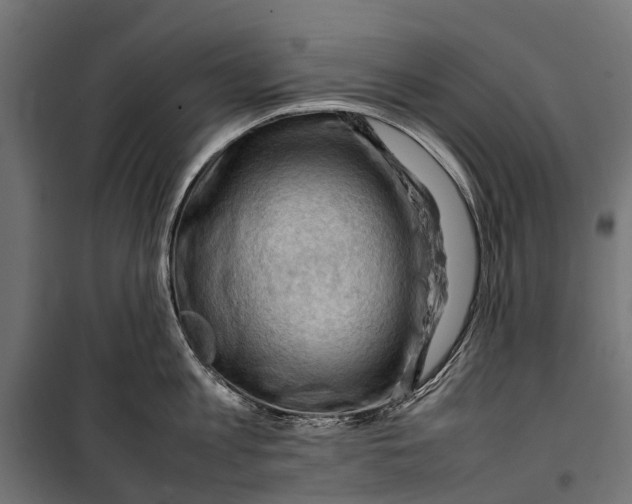 X0000099980813200806201424