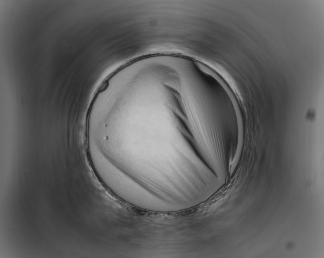 X0000099980815200806201424