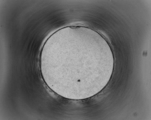 X0000099980816200806201424