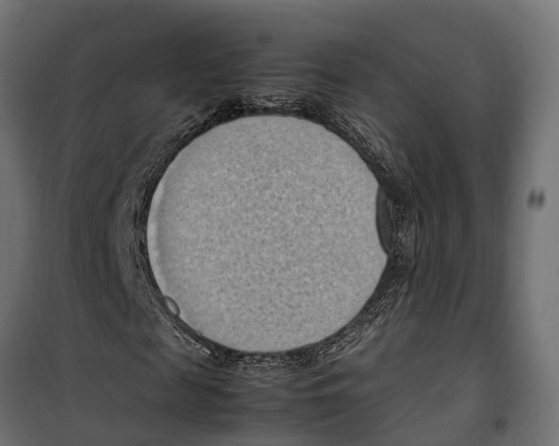 X0000099980817200806201423