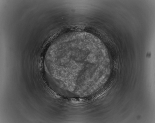 X0000099980818200806201423