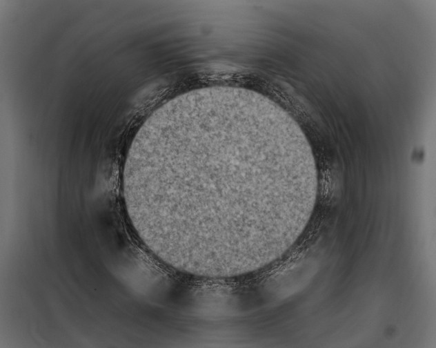 X0000099980820200806201423