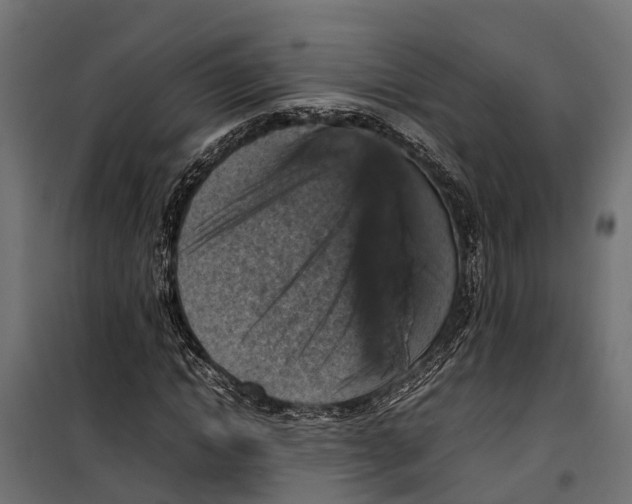 X0000099980822200806201423