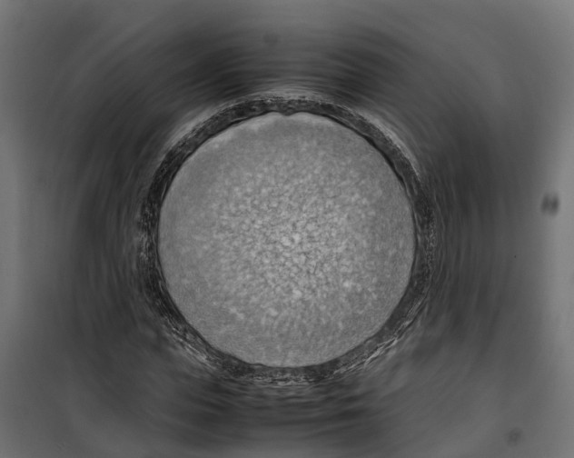 X0000099980823200806201423