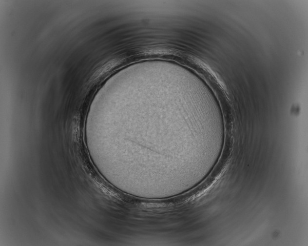 X0000099980825200806201423